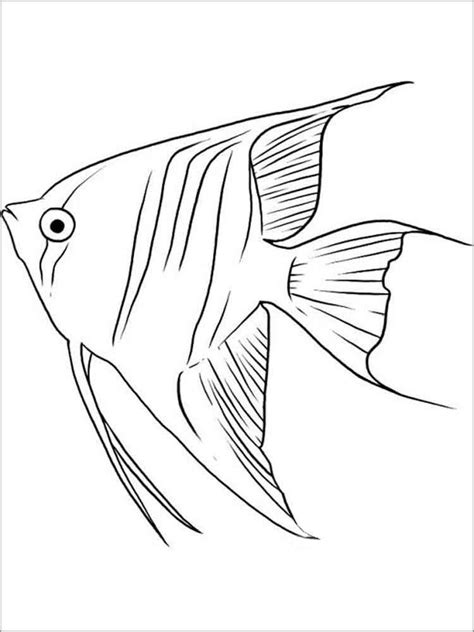 angel fish coloring page youngandtaecom fish coloring page