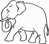 Elephant Coloring Pages Animales Para Peligro Extinción Animals Imagen Wildlife Strutting Con sketch template