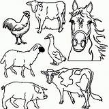 Farm Coloring Animal Pages Animals Kids Preschool Colouring Crafts Drawings Printable Cow Drawing Line Activities Sheets Horse Getdrawings Colour sketch template