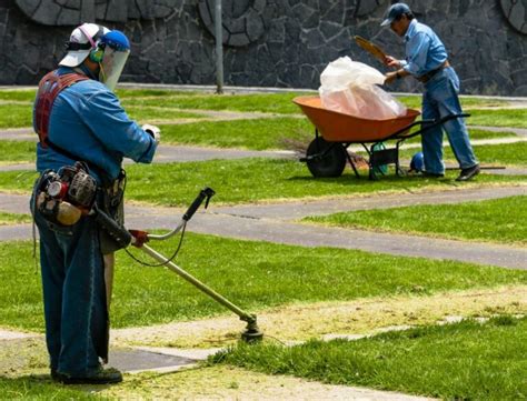 lawn mower  weed whacker    garden tool expert