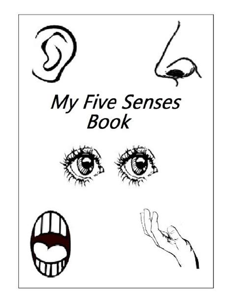 book cover   image   eyes   words   sensees book