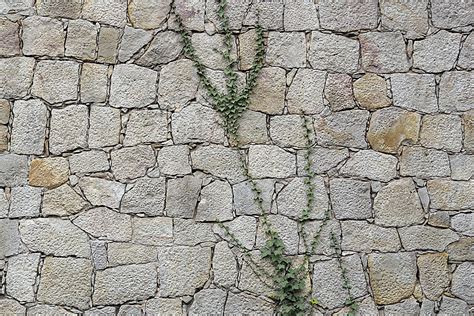 muro wall  photo  freeimages