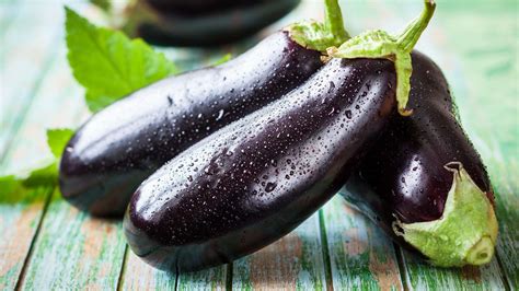 neue rezepte mit der mediterranen aubergine evidero