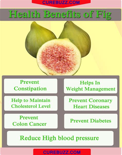 7 Health Benefits Of Figs Curebuzz