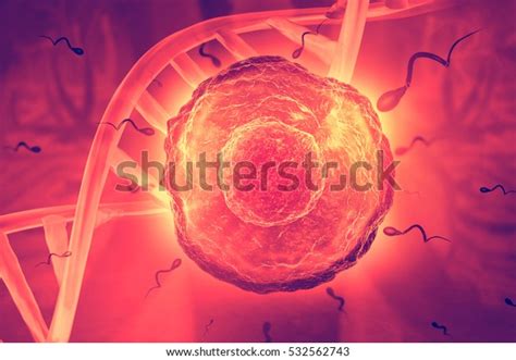 sperm egg cell on scientific background stock illustration 532562743