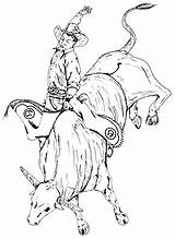 Bull Riding Rodeo Drawings Easy Coloring Para Riders Colorir Result Google Desenhos sketch template
