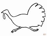 Turkey Outline Clipart Library Rooster sketch template