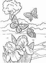 Coloring Garden Pages Butterflies Flowers Beautiful Flower Butterfly Kids Sheets Spring Drawing Clipart Print Colouring Printable Birds Summer Book Popular sketch template