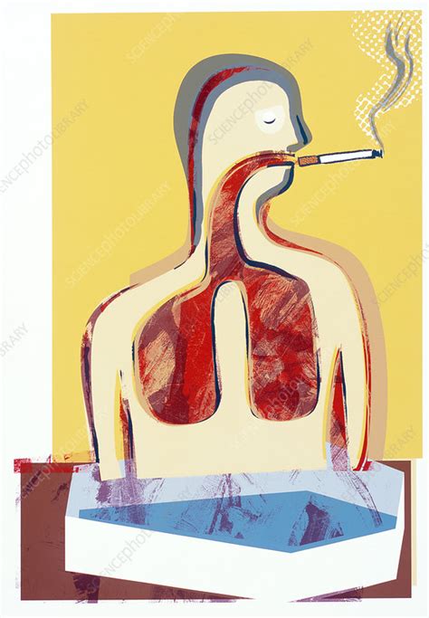 smoking and lungs stock image m370 0856 science photo library