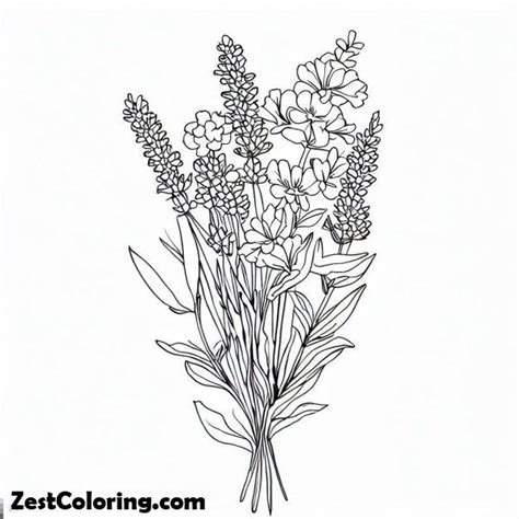lavender flower arrangement coloring pages coloring  kids smart