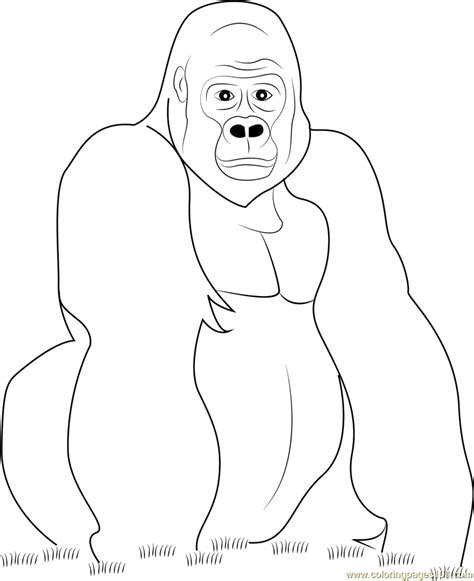 gorilla    coloring page  kids  gorilla printable