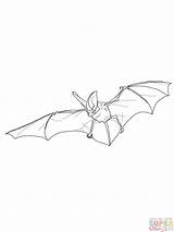 Wing Coloring sketch template