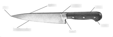 knife parts diagram quizlet