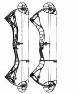 Compound Bow Bowtech Realm Drawing Paintingvalley Ss sketch template
