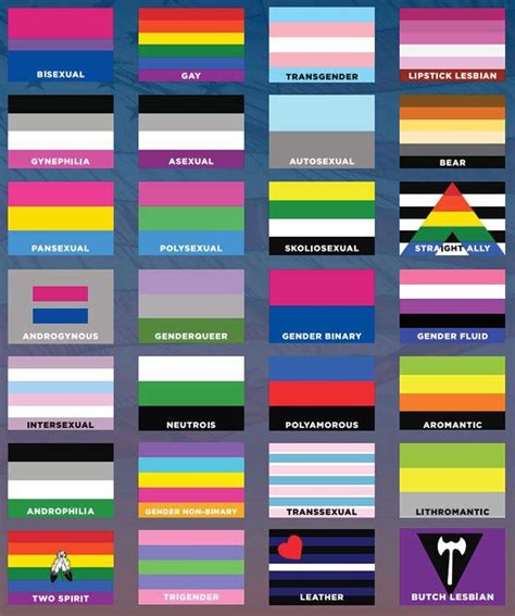 ️‍🌈all About Sexualities [explanations Flags] Lgbt Amino