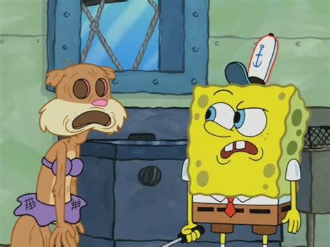 spongebuddy mania spongebob episode someone s in the kitchen with sandy