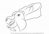 Cuttlefish Coloring Flamboyant sketch template