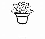 Succulent Clipart Coloring Pages Succulents Clip Line Aesthetic Library sketch template