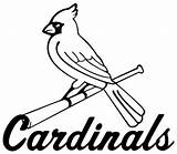 Cardinals Logo Louis St Coloring Stl Vector Clipart Bird Cliparts Baseball Pages Clip Template Fred Library Thog Miss Favorites Add sketch template