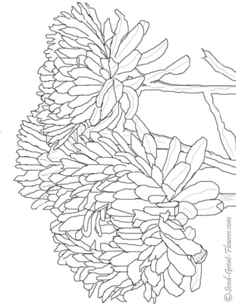 fall coloring pages  adults fall flowers coloring pages mom