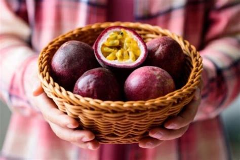 Top 4 Reasons Why Passion Fruit Is So Expensive Foodiosity