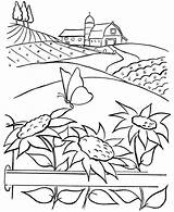 Coloring Farm Sunflower Beautiful Pages Coloringsky Color Printable sketch template
