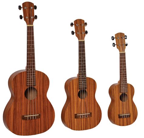balalaika cobza psaltery dulcimer panpipes ukulele domra