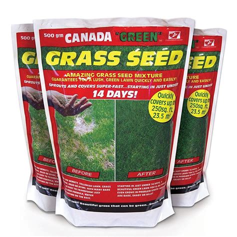 buy canada green lawn seed delivery  crocus