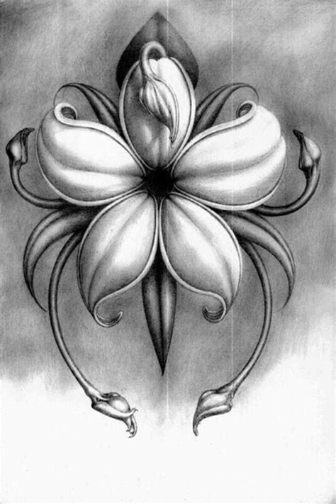 easy flower pencil drawings  inspiration pencil drawings