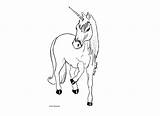 Pegasus Coloring Unicorn Horse Pages sketch template