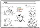 Sapo Infantil Atividade Educação Cores Ideia Criativa Atividades Para Barbosa Gi Leaves Books sketch template