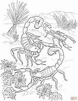 Deserto Scorpione sketch template