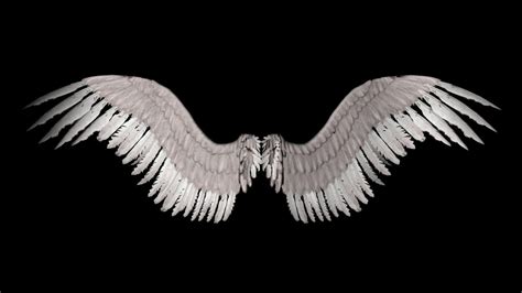 angel wings  shadavar stock  deviantart