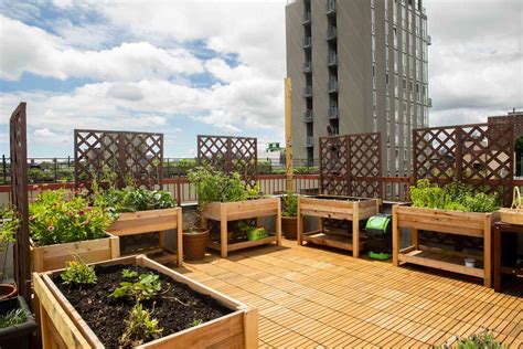 create  urban rooftop garden