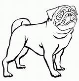 Pug Coloring Outline Pages Baby Puppy Drawing Bulldog Clipart Printable Cute Printables Dutch Color Cliparts Clip Print Library Drawings Kids sketch template