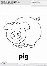 Pig Coloring Pages Farm Animal Simple Animals Worksheets Super Colouring Flashcards Ingles Preschool Kindergarten Easy Prek Activities Para Supersimplelearning Drawing sketch template