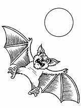 Coloring Bats Pages Animals Easily Print sketch template