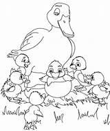 Duckling Ugly sketch template