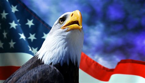 bald eagle  american flag  dark storm clouds   background