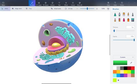 Paint 3d A Tool For Teaching Science Uk Microsoft