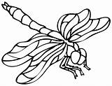 Dragonfly Libellule Colorier sketch template