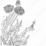 Dandelion Beelden Botanical Bloem Boek Volwassen Kleurplaat Paardebloem Vectorillustratie sketch template