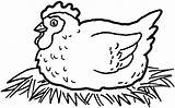 Coloring Pages Chicken Cow Animal Chickens Printable Farm Print sketch template
