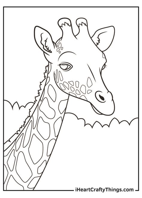 realistic animal coloring pages animal coloring pages zoo coloring