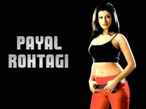 payal rohtagi sexy wallpapers saree sexy pictures