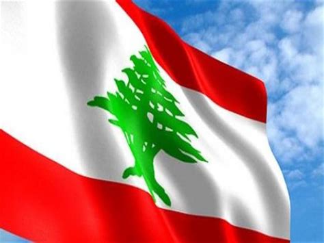 بالصور نجوم الفن يحتفلون بعيد الاستقلال اللبناني مصراوى