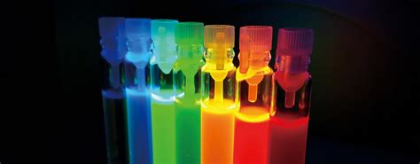 fluorescence microscopy horiba