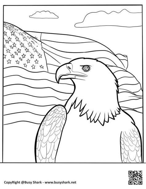 bald eagle  american flag coloring page  printable busy shark