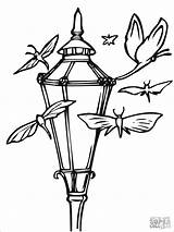 Coloring Lantern Chinese Pages Lanterns Moths Moth Color Camping Printable Drawing Geometry Sacred Getcolorings Coloringbay Getdrawings Colo Online Template Colorings sketch template
