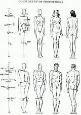 Proportions Loomis Drawinghowtodraw пропорции тела Sketching Anatomie Cuerpos Anatomia Tekenen sketch template